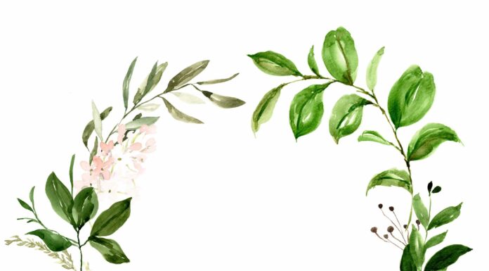 ПРОГУЛКА ДЛЯ ФИНАНСОВОЙ УДАЧИ, КАРЬЕРЫ, ОТНОШЕНИЙ 24 МАЯ