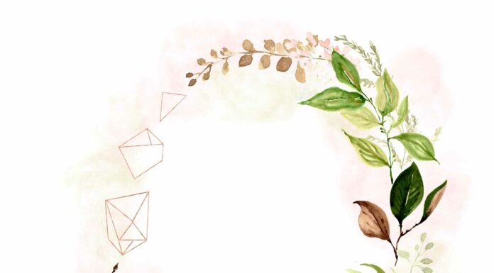 ПРОГУЛКА ДЛЯ ФИНАНСОВОЙ УДАЧИ, КАРЬЕРЫ, ОТНОШЕНИЙ, ЗДОРОВЬЯ 25 МАЯ