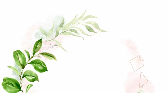 ПРОГУЛКА ДЛЯ ФИНАНСОВОЙ УДАЧИ, КАРЬЕРЫ, ОТНОШЕНИЙ, ЗДОРОВЬЯ 27 МАЯ