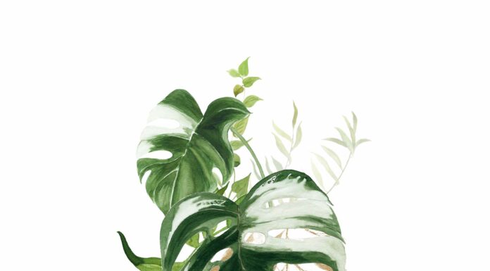 АКТИВАЦИЯ «ТРИ ГЕНЕРАЛА» 5 МАЯ