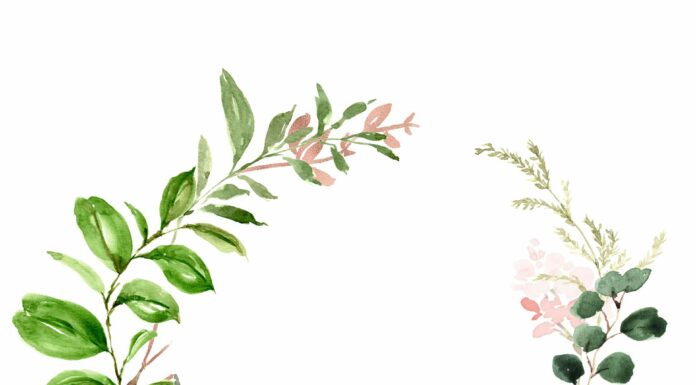 АКТИВАЦИЯ «ТРИ ГЕНЕРАЛА» 6 МАЯ