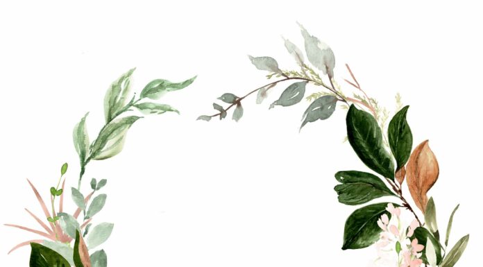 «ПТИЦА ПАДАЕТ В ГНЕЗДО» 11 МАЯ