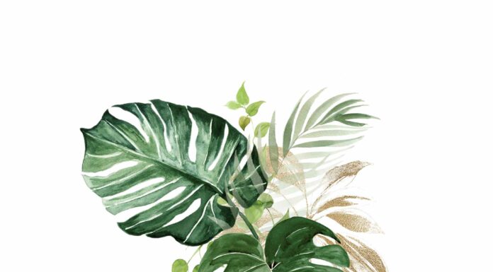 «ПТИЦА ПАДАЕТ В ГНЕЗДО» 12 МАЯ