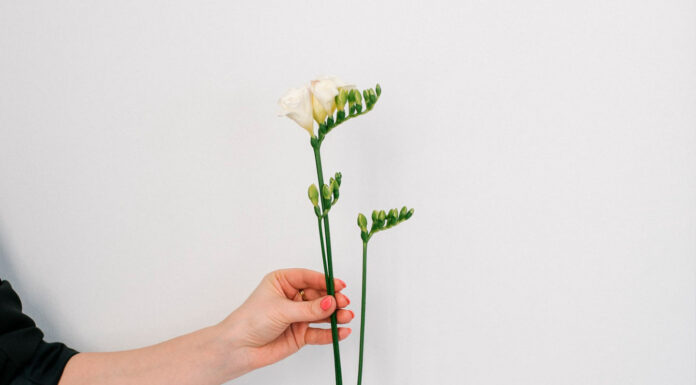 ДАТЫ НА МАЙ