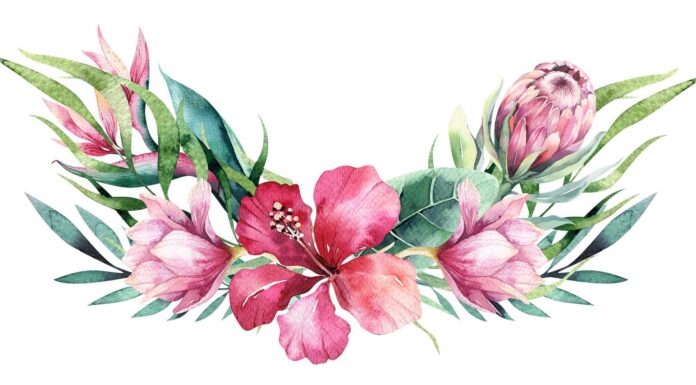 «ЗЕЛЕНЫЙ ДРАКОН ПОВОРАЧИВАЕТ ГОЛОВУ» 29 ИЮНЯ