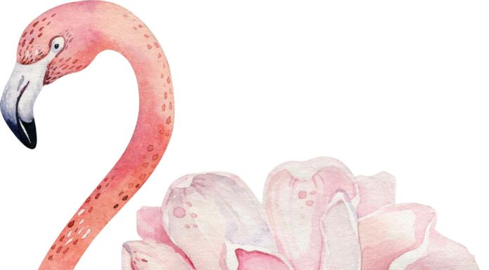 ПРОГУЛКА ДЛЯ ФИНАНСОВОЙ УДАЧИ, КАРЬЕРЫ, ОТНОШЕНИЙ, ЗДОРОВЬЯ 26 ИЮЛЯ