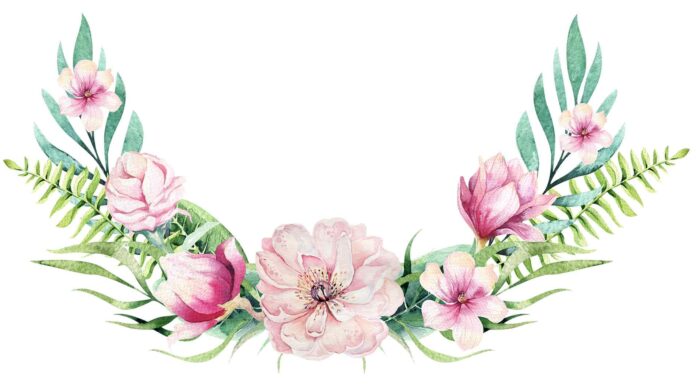 «ПТИЦА ПАДАЕТ В ГНЕЗДО» 27 ИЮНЯ