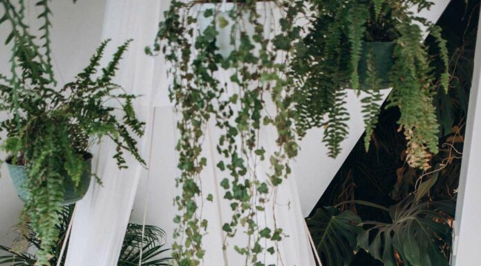 41. ПОИГРАЕМ?