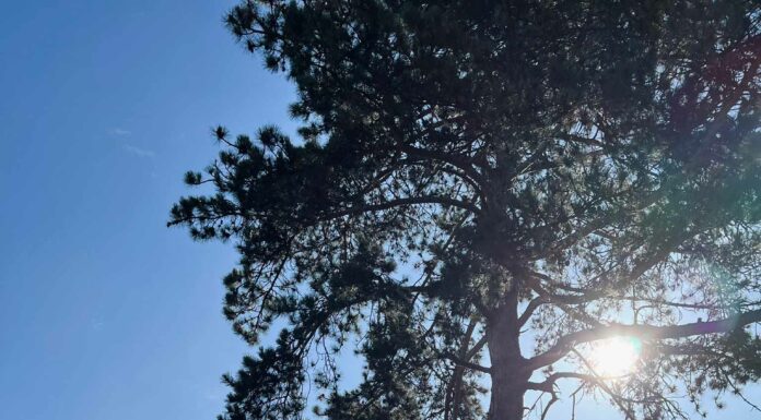 ПРОГУЛКА ДЛЯ ФИНАНСОВОЙ УДАЧИ, КАРЬЕРЫ, ОТНОШЕНИЙ 27 АВГУСТА