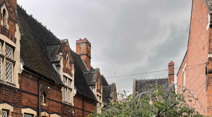 «ПТИЦА ПАДАЕТ В ГНЕЗДО» 9 АВГУСТА