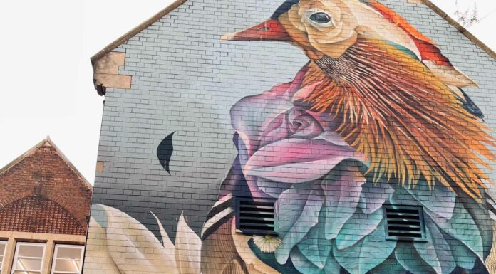 «ПТИЦА ПАДАЕТ В ГНЕЗДО» 11 АВГУСТА