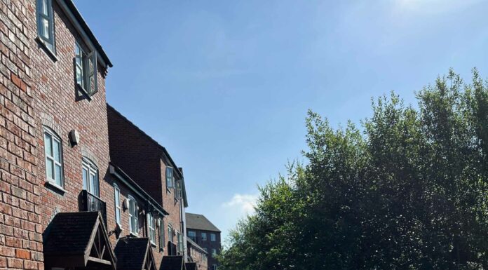 ПРОГУЛКА ДЛЯ ФИНАНСОВОЙ УДАЧИ, КАРЬЕРЫ, ОТНОШЕНИЙ, ЗДОРОВЬЯ 20 АВГУСТА