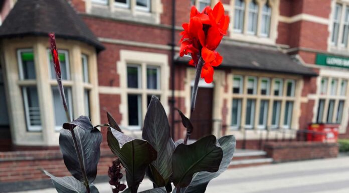 АКТИВАЦИЯ «ТРИ ГЕНЕРАЛА» 16 СЕНТЯБРЯ