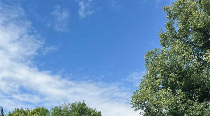 ПРОГУЛКА ДЛЯ ФИНАНСОВОЙ УДАЧИ, ОТНОШЕНИЙ, ЗДОРОВЬЯ 3 СЕНТЯБРЯ