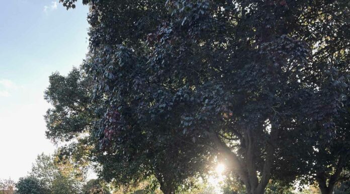 АКТИВАЦИЯ «ТРИ ГЕНЕРАЛА» 7 НОЯБРЯ