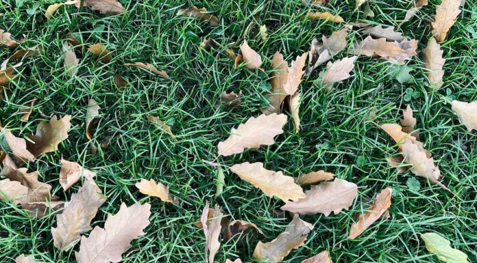 ПРОГУЛКА ДЛЯ ФИНАНСОВОЙ УДАЧИ, КАРЬЕРЫ, ЗДОРОВЬЯ, ОТНОШЕНИЙ 16 НОЯБРЯ