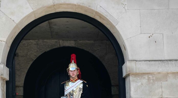 ПРОГУЛКА ДЛЯ ФИНАНСОВОЙ УДАЧИ, КАРЬЕРЫ, ЗДОРОВЬЯ 1 НОЯБРЯ
