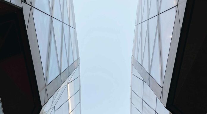 «ЗЕЛЕНЫЙ ДРАКОН ПОВОРАЧИВАЕТ ГОЛОВУ» 25 ОКТЯБРЯ