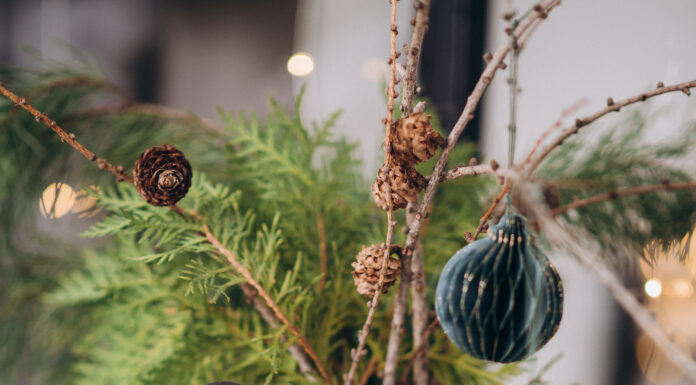 «ЗЕЛЕНЫЙ ДРАКОН ПОВОРАЧИВАЕТ ГОЛОВУ» 6 ДЕКАБРЯ