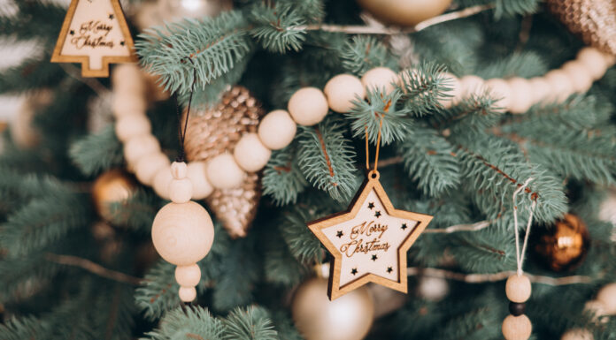 ПРОГУЛКА «НЕФРИТОВАЯ ДЕВА УДЕРЖИВАЮЩАЯ ВРАТА» 9 ДЕКАБРЯ