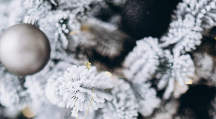 ПРОГУЛКА ДЛЯ ФИНАНСОВОЙ УДАЧИ, КАРЬЕРЫ, ЗДОРОВЬЯ, ОТНОШЕНИЙ 27 ДЕКАБРЯ