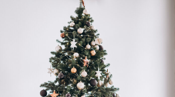 ПРОГУЛКА «НЕФРИТОВАЯ ДЕВА УДЕРЖИВАЮЩАЯ ВРАТА» 29 ДЕКАБРЯ