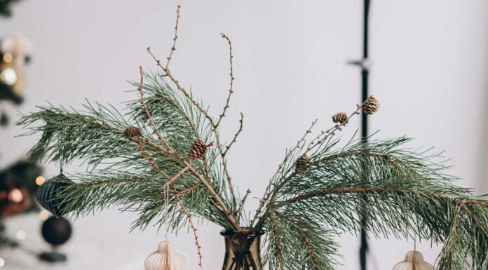 ЦИ МЕНЬ ДЛЯ НАЧИНАЮЩИХ: 10.УРОК, ПУСТОТА