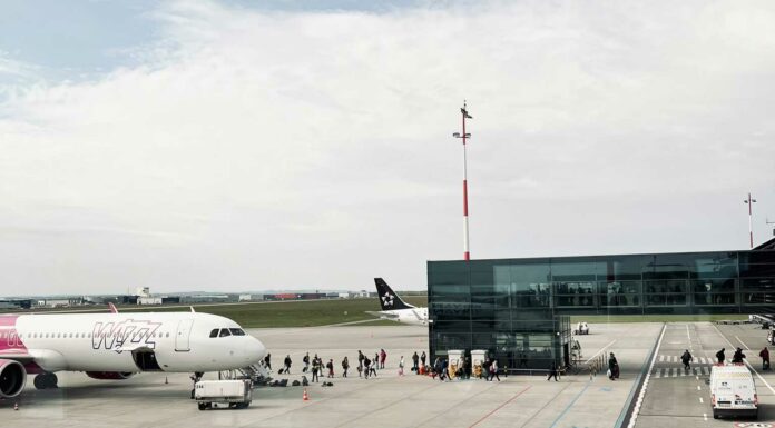 «ПТИЦА ПАДАЕТ В ГНЕЗДО» 5 ФЕВРАЛЯ