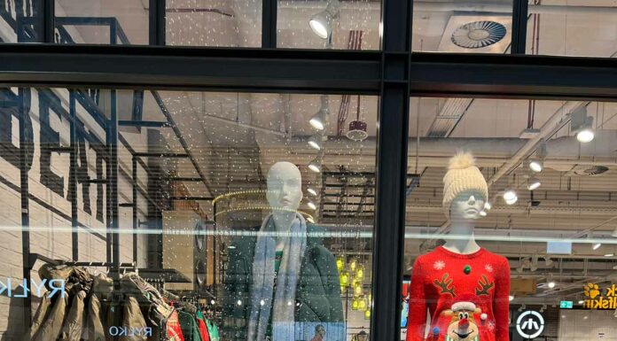 «ПТИЦА ПАДАЕТ В ГНЕЗДО» 11 ЯНВАРЯ