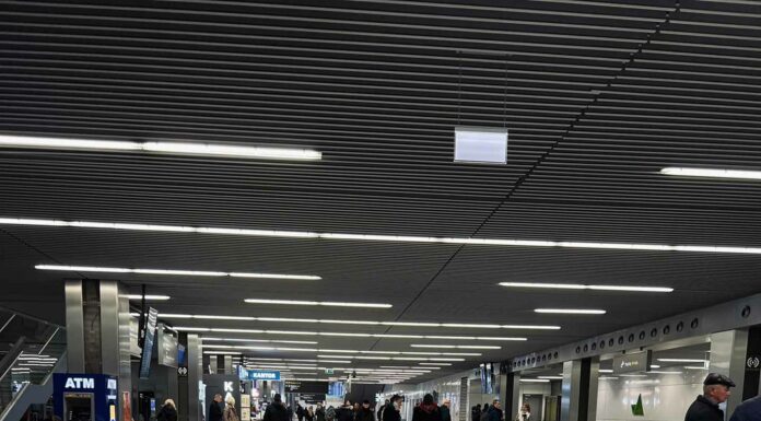 ПРОГУЛКА ДЛЯ ФИНАНСОВОЙ УДАЧИ, КАРЬЕРЫ, ОТНОШЕНИЙ 21 ЯНВАРЯ