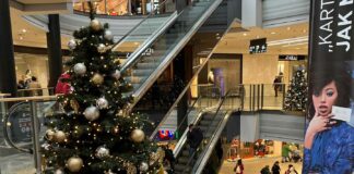 «ПТИЦА ПАДАЕТ В ГНЕЗДО» 4 ЯНВАРЯ