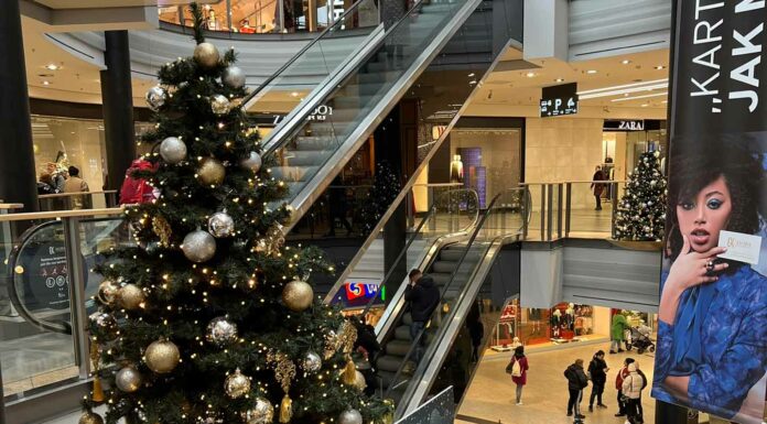 «ПТИЦА ПАДАЕТ В ГНЕЗДО» 4 ЯНВАРЯ