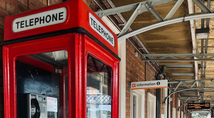 «ПТИЦА ПАДАЕТ В ГНЕЗДО» 22 ФЕВРАЛЯ