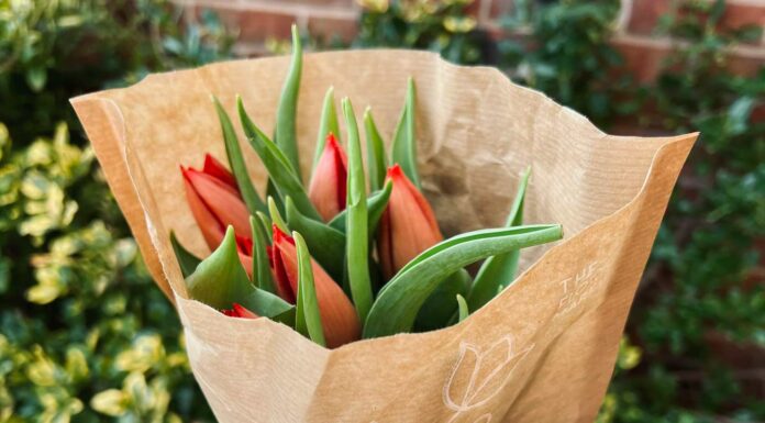 ПРОГУЛКА ДЛЯ ФИНАНСОВОЙ УДАЧИ, КАРЬЕРЫ, ОТНОШЕНИЙ, ЗДОРОВЬЯ 7 МАРТА