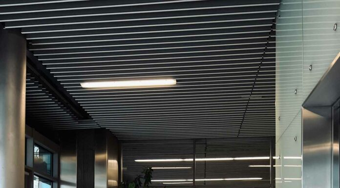 «ПТИЦА ПАДАЕТ В ГНЕЗДО» 17 МАРТА