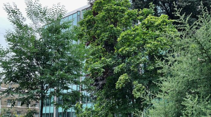 ПРОГУЛКА ДЛЯ ФИНАНСОВОЙ УДАЧИ, КАРЬЕРЫ, ОТНОШЕНИЙ, ЗДОРОВЬЯ 23 АПРЕЛЯ