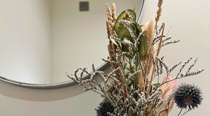 «ПТИЦА ПАДАЕТ В ГНЕЗДО» 27 МАЯ