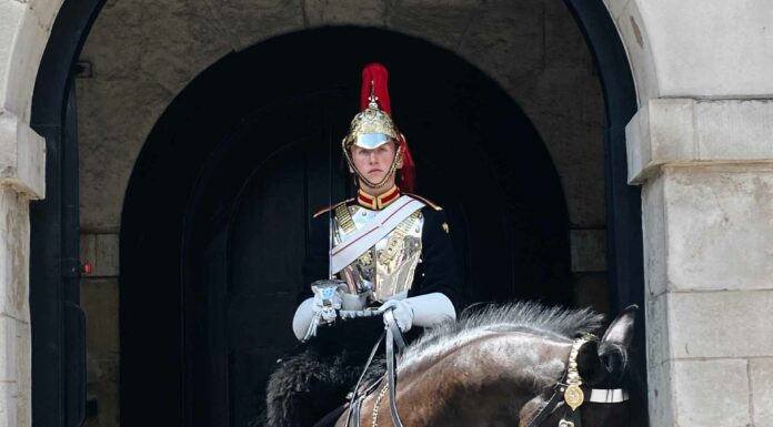 ЧТЕНИЕ ЖИЗНИ: ВЫИГРЫШ