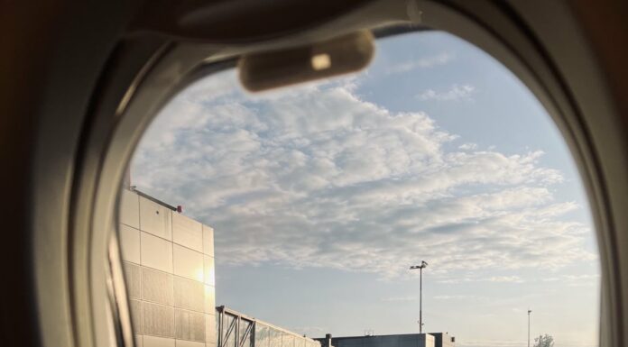 ЧТЕНИЕ ЖИЗНИ ПО ЦИ МЕНЬ: КАКОЙ ЧАС РОЖДЕНИЯ СМОТРЕТЬ ДВОЙНЯТАМ?