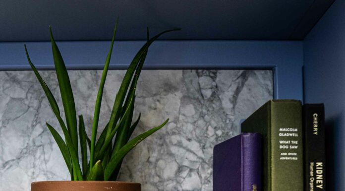 «ЗЕЛЕНЫЙ ДРАКОН ПОВОРАЧИВАЕТ ГОЛОВУ» 26 ИЮНЯ