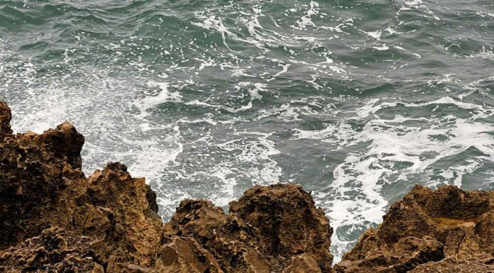 АКТИВАЦИЯ «ТРИ ГЕНЕРАЛА» 4 ИЮЛЯ