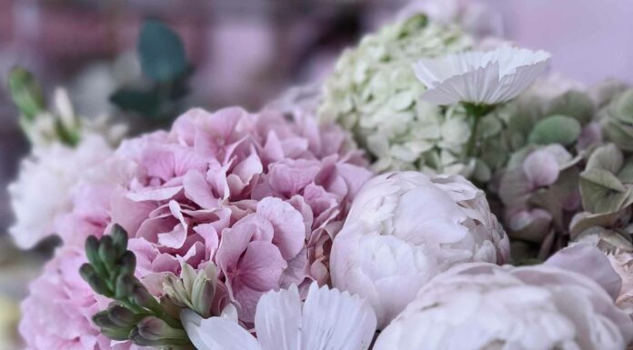 КАК НАЙТИ НОВУЮ РАБОТУ ИЛИ ПОЛУЧИТЬ ПОВЫШЕНИЕ ЗА 1 МЕСЯЦ