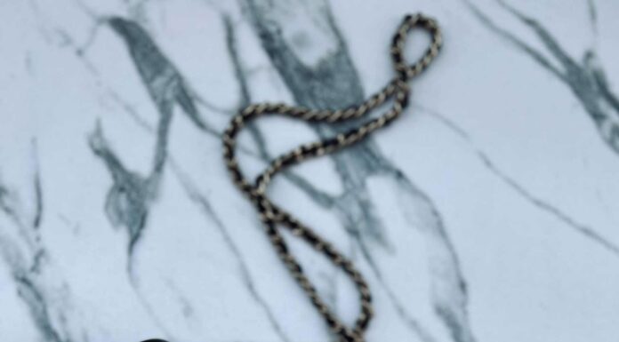 АКТИВАЦИЯ «ТРИ ГЕНЕРАЛА» 11 СЕНТЯБРЯ