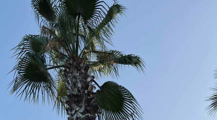 КАК ДОБАВИТЬ РОМАНТИКИ В ОТНОШЕНИЯХ И УЛУЧШИТЬ СЕКС