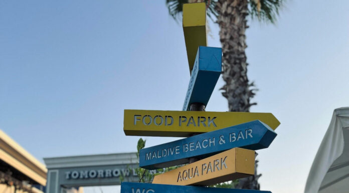 ПРОГУЛКА ДЛЯ ФИНАНСОВОЙ УДАЧИ, КАРЬЕРЫ, ОТНОШЕНИЙ, ЗДОРОВЬЯ 15 АВГУСТА