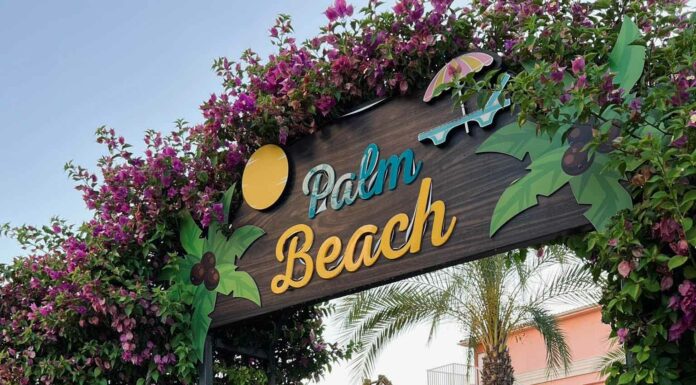 ПРОГУЛКА ДЛЯ ФИНАНСОВОЙ УДАЧИ, КАРЬЕРЫ, ОТНОШЕНИЙ, ЗДОРОВЬЯ 20 АВГУСТА