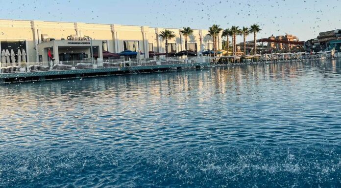 «ПТИЦА ПАДАЕТ В ГНЕЗДО» 21 АВГУСТА