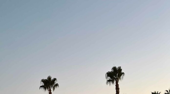 КАК ПРИТЯНУТЬ ФИНАНСОВУЮ УДАЧУ, НАЛАДИТЬ ОТНОШЕНИЯ И УЛУЧШИТЬ ЗДОРОВЬЕ В БЛИЖАЙШЕЕ ВРЕМЯ?