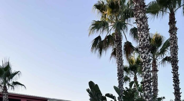 КАК МОЖНО НАЙТИ РЕШЕНИЕ ЛЮБОЙ ПРОБЛЕМЫ ЗА 1 ДЕНЬ?