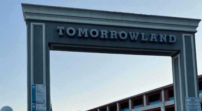 «ПТИЦА ПАДАЕТ В ГНЕЗДО» 29 АВГУСТА